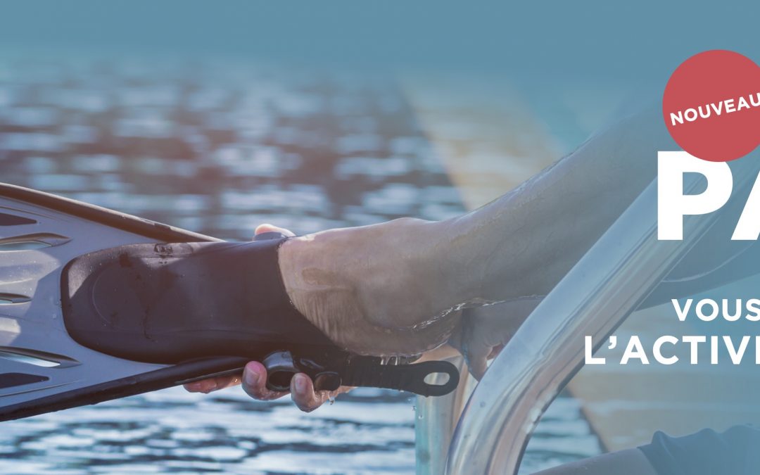 NOUVEAU ! AQUA PALMES