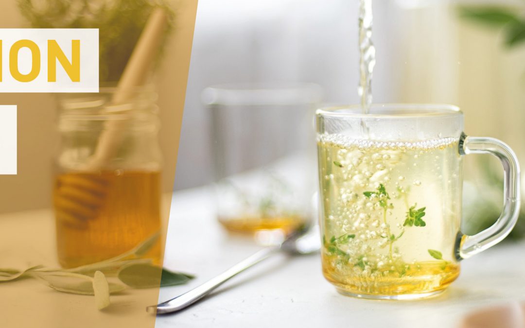 DÉGUSTATION TISANES